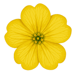 Aurinia